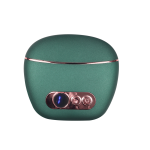 GUASHA FACIAL ELECTRICA