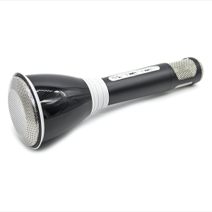 MICRÓFONO 1 - ECO NEGRO