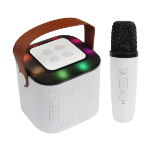 MINI KARAOKE RGB 2 MICS - Y1