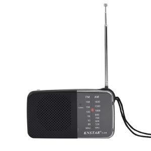 RADIO PORTABLE AM-FM 258