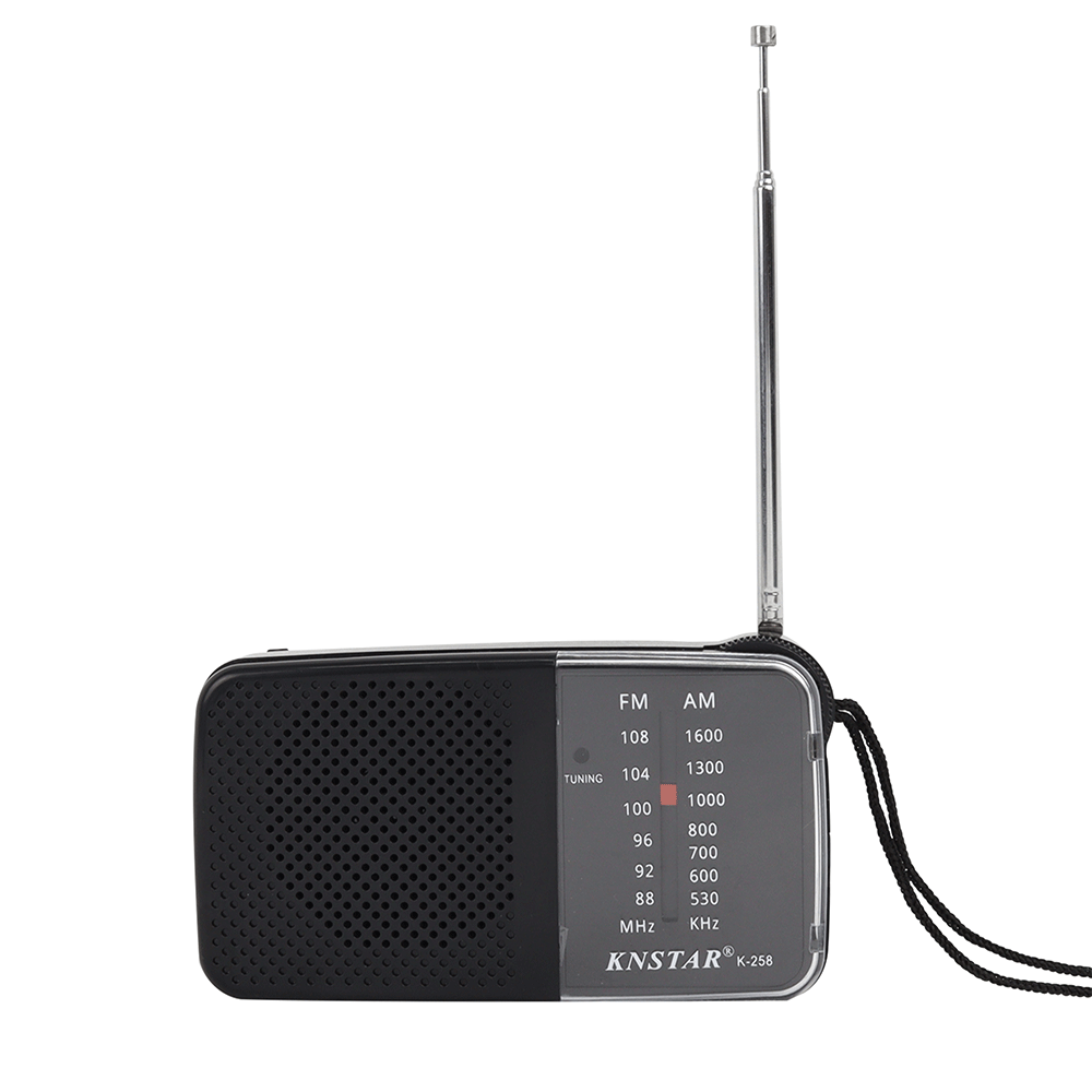 RADIO PORTABLE AM-FM 258