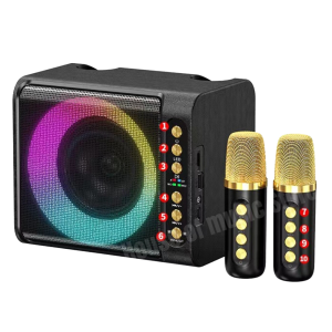 SPEAKER 20W BT KARAOKE X2 MICS - T-203