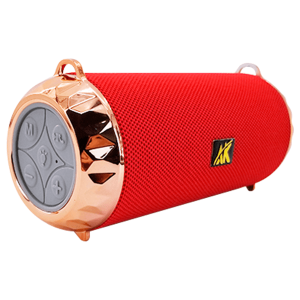 SPEAKER BLUETOOTH DISCO AK119